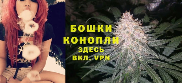 PSILOCYBIN Новозыбков
