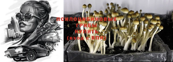 твердый Новокубанск